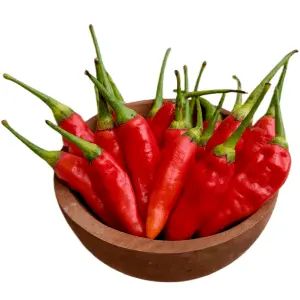 VittaBurn Ingredient