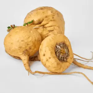 VittaBurn Ingredient