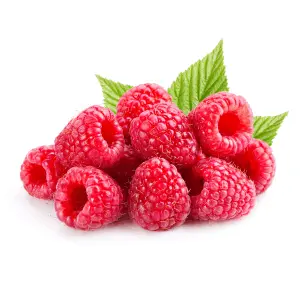 VittaBurn Ingredient